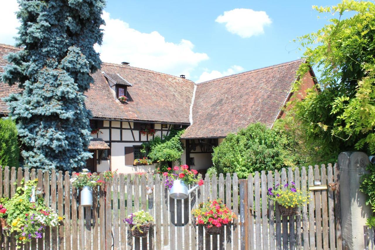B&B La Tete Dans Les Etoiles Weyersheim Exterior photo